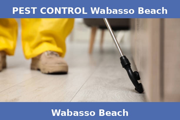 PEST CONTROL Wabasso Beach
